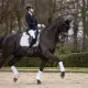 LeMieux Crystal Suede Close Contact dressuuronderlegger